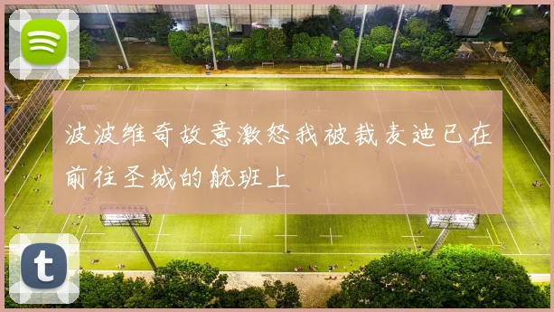 波波维奇故意激怒我被裁麦迪已在前往圣城的航班上