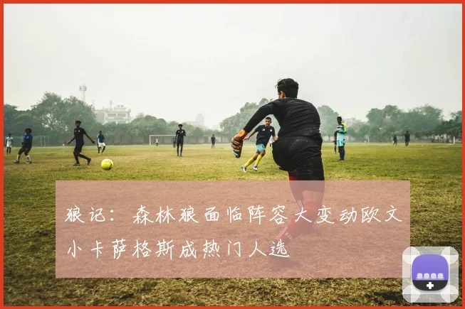 狼记：森林狼面临阵容大变动欧文小卡萨格斯成热门人选